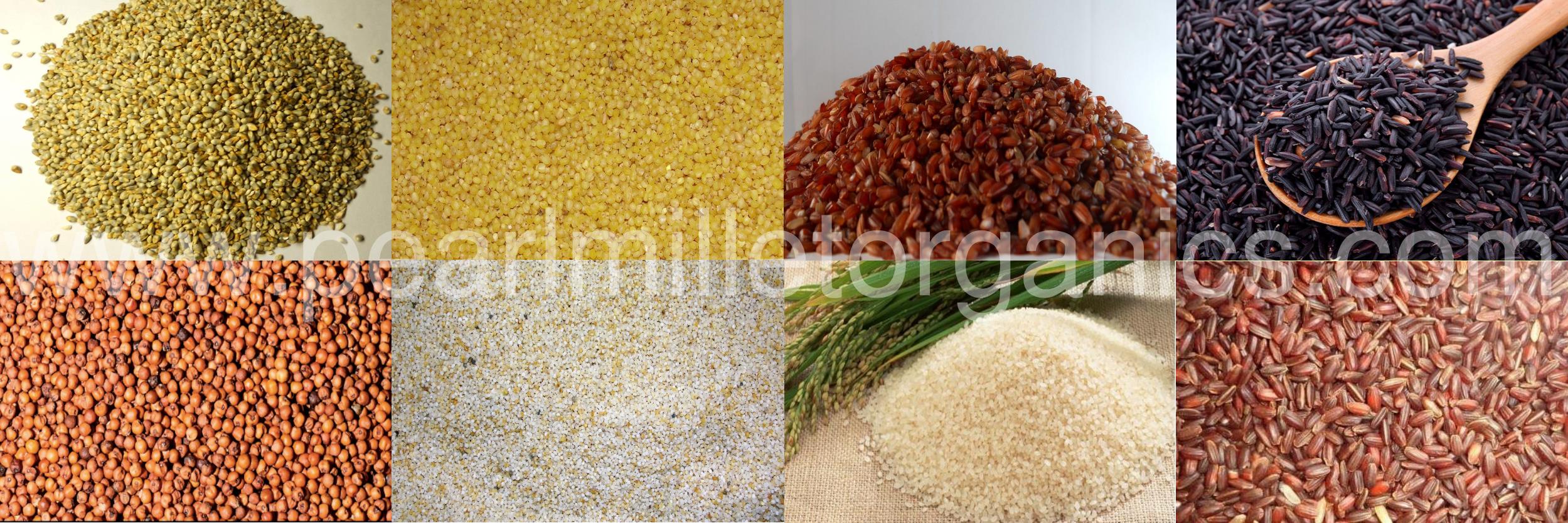 Pearl Millet Organics